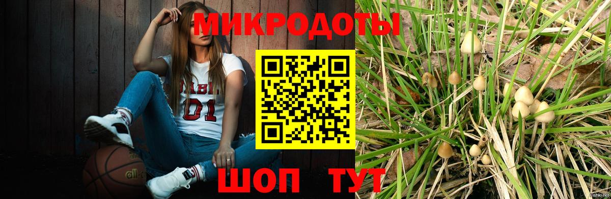 Заволжье  Галлюциногенные грибы MAGIC MUSHROOMS  Вход с VPN  Псилоцибиновые грибы GOLDEN TEACHER 
