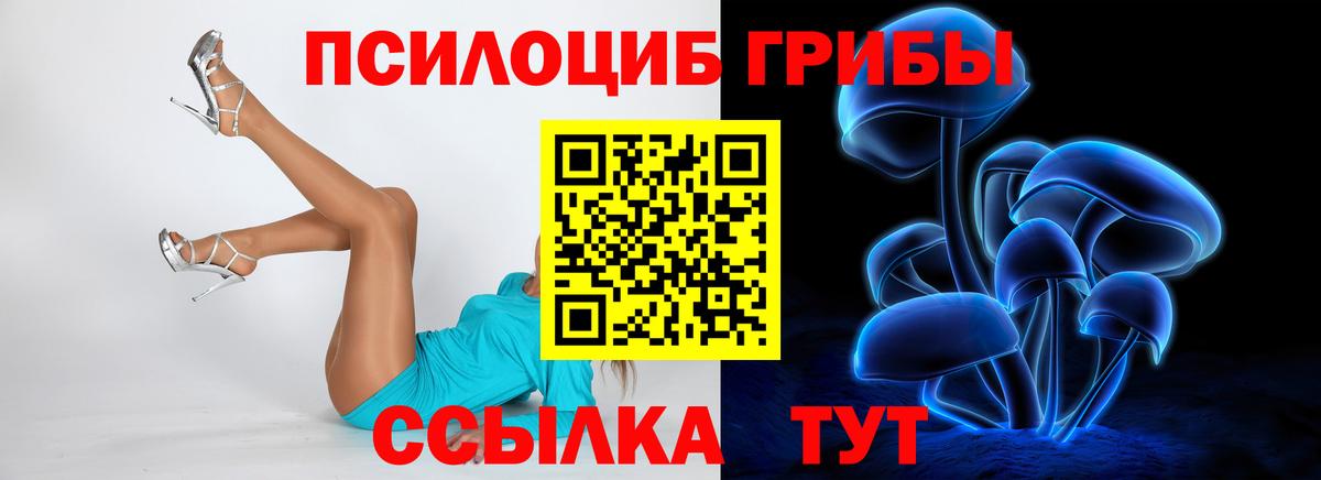 Псилоцибиновые грибы прущие грибы Заволжье